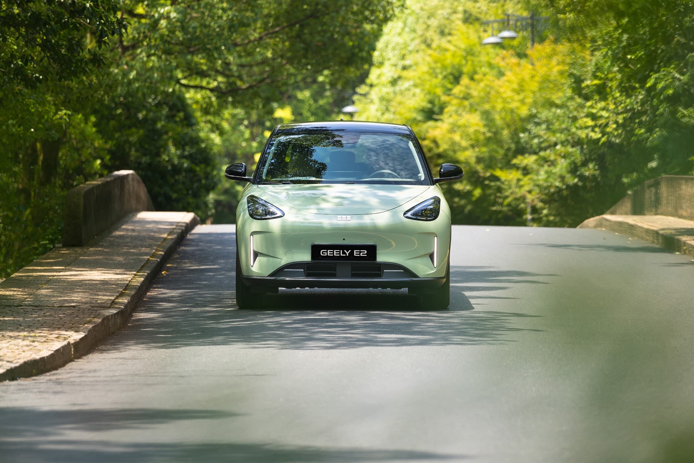 Geely E2 auf einer Straße durch den Wald